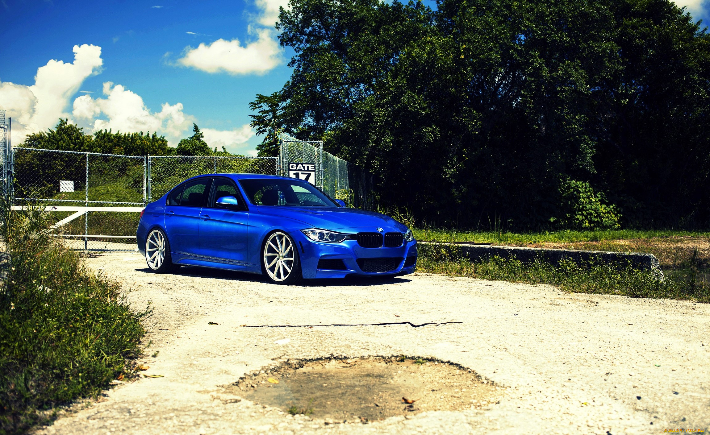bmw 335i, , bmw, , , 